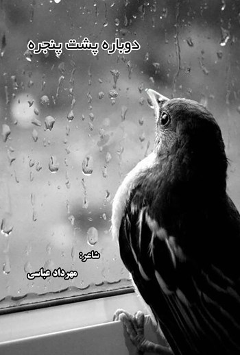  کتاب دوباره پشت پنجره
