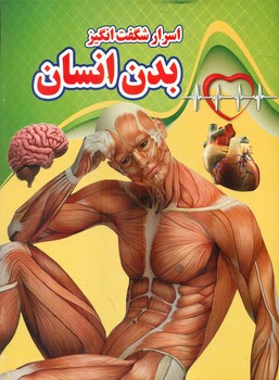  کتاب اسرار شگفت انگیز بدن انسان