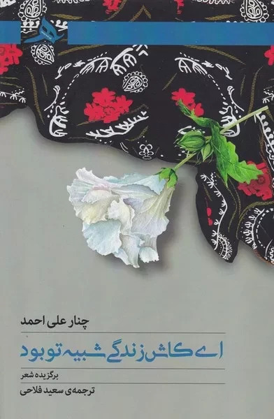  کتاب ای کاش زندگی شبیه تو بود