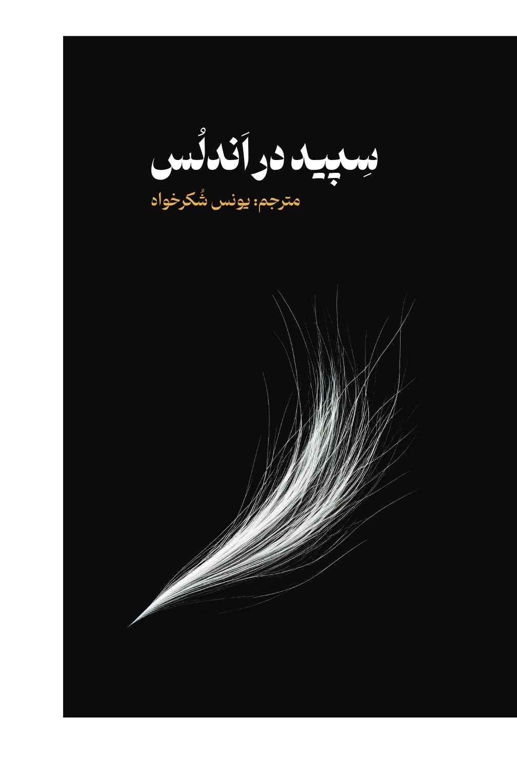  کتاب سپید در اندلس