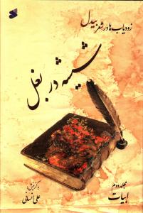  کتاب گزیده بیدل دهلوی نشئۀ ازل (2جلدی)