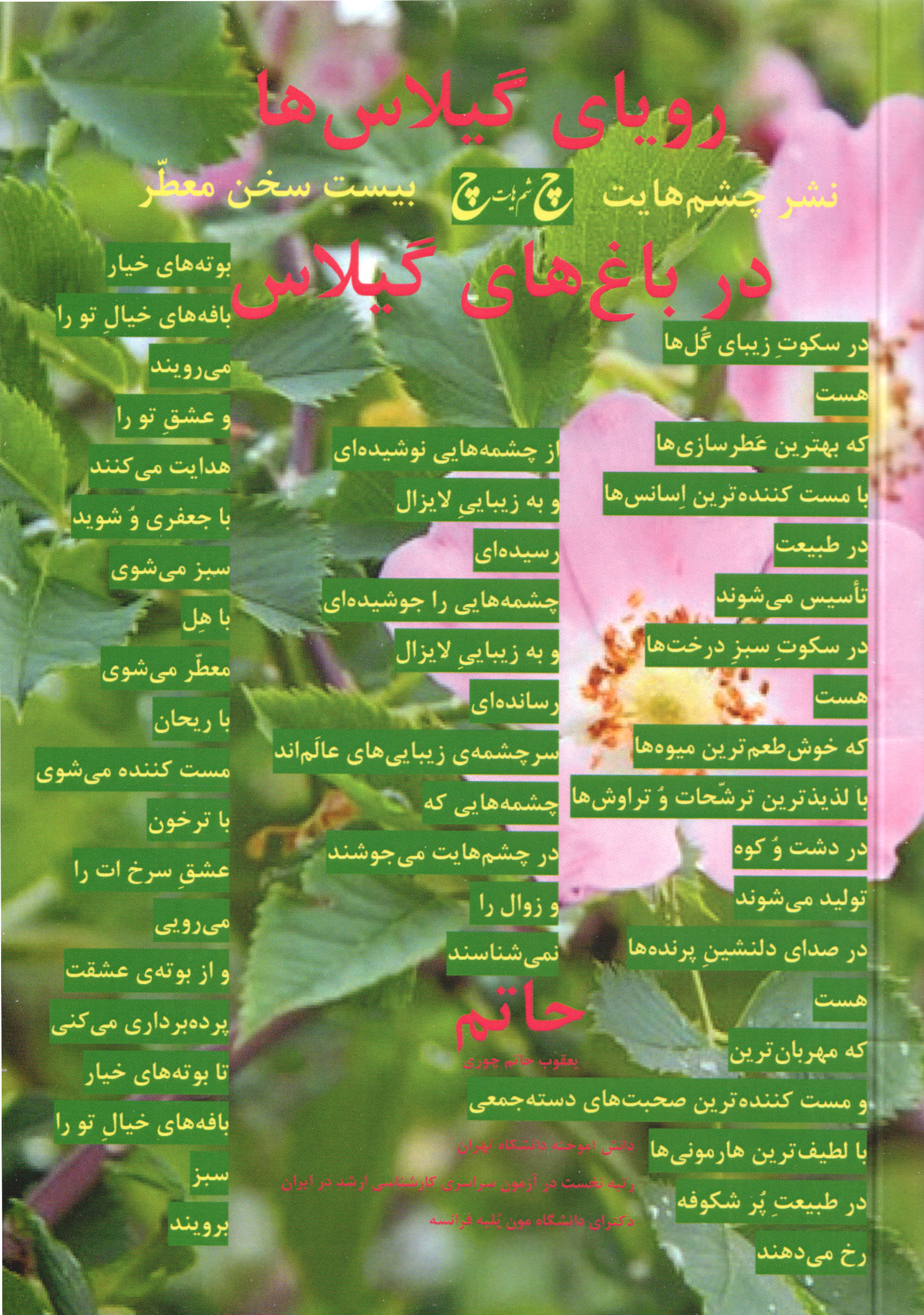  کتاب رویای گیلاس‌ها در باغ‌های گیلاس