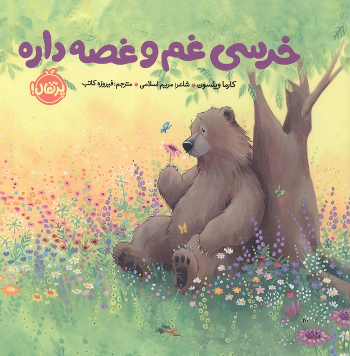 کتاب خرسی غم و غصه داره