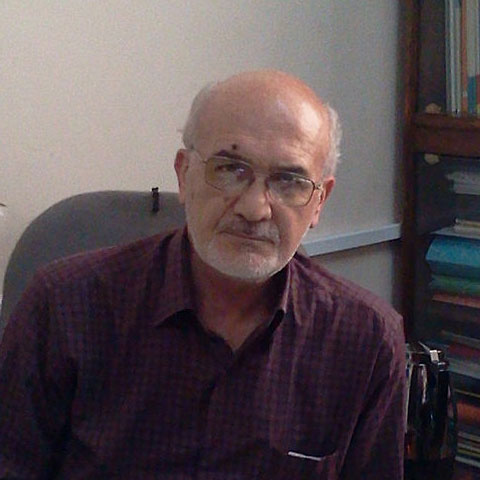 محمد میرکمالی