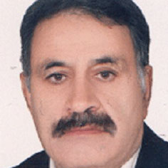 محمدرضا پورمحمد