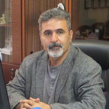 رضا رجبی
