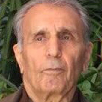 ابوالحسن محمدی