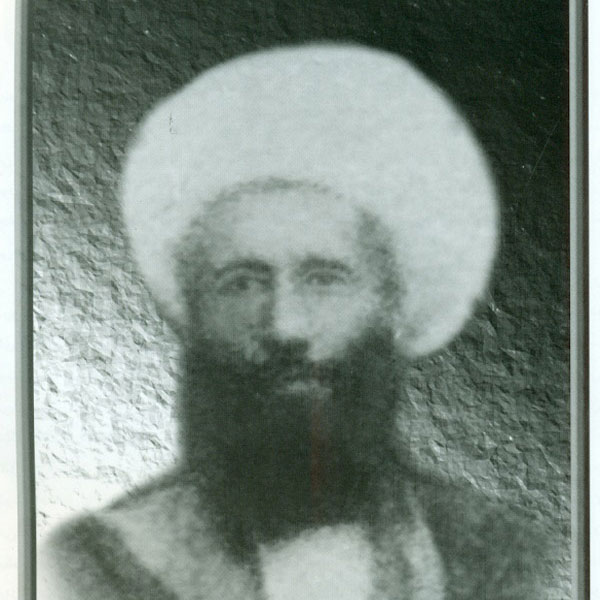 محمد بهاری همدانی